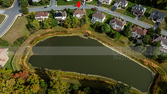 DJI_0520
