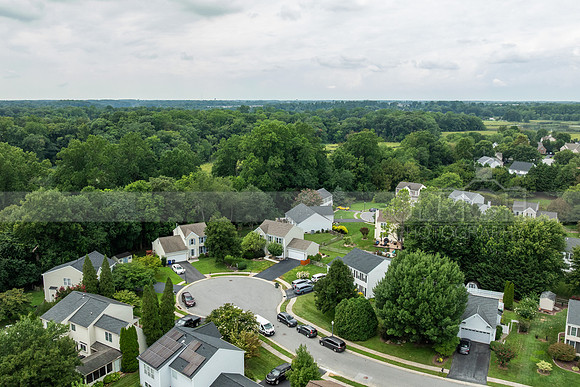 DJI_0336