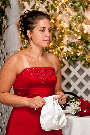 Wedding062009--0185